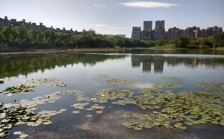  合肥市大蜀山森林公園南湖：綜合治理，再現(xiàn)美麗湖景