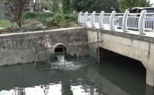  回頭看”典型案例通報（二十三）丨責任未壓實 整改打折扣 安徽蕪湖中央環(huán)保督察整改落實不力