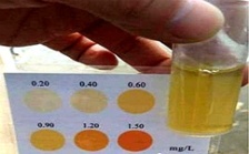  測定氨氮的簡易方法