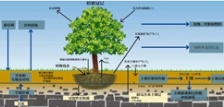  什么叫總有機(jī)碳TOC?
