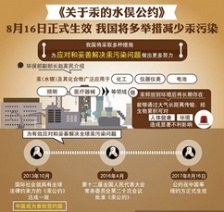  關(guān)于汞的水俁公約